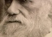 Quiz Charles Darwin