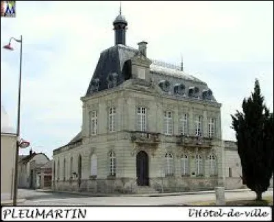 Comment nomme-t-on les habitants de Pleumartin (Vienne) ?