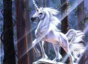 Test Es-tu digne d'tre une LICORNE ?