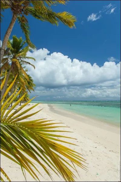 À quand remontent les premières vacances d'été ?