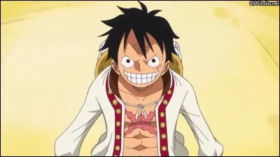 Quel est le premier ennemi dans One Piece ?