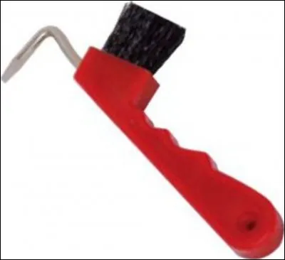 Quel est le nom de cette brosse ?