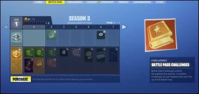 Quel skin as-tu palier 70 de la saison 2 ?