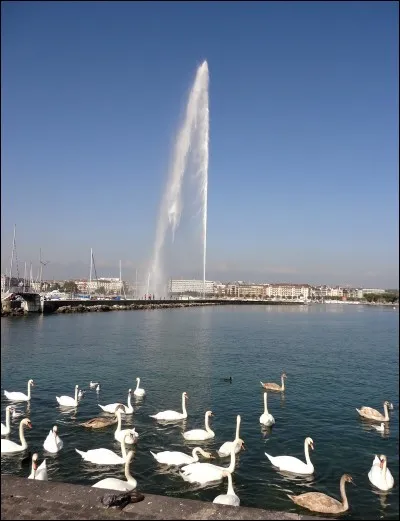 Commençons par nous arrêter à Genève, la grande ville du lac, célèbre pour son jet d'eau. Mais savez-vous à quelle vitesse l'eau est éjectée du sol pour culminer à 140 mètres de hauteur ?