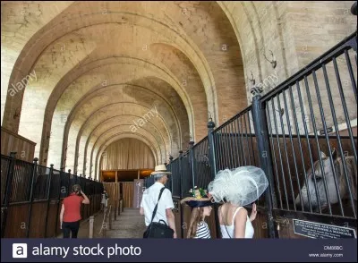 On rencontre généralement les chevaux...