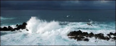 Combien de tonnes de crème solaire ont été trouvées dans la mer, l'an dernier ?