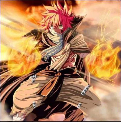 Qui est amoureux de Natsu ?