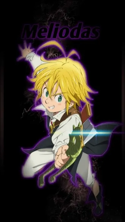 Qui est Meliodas, le chef ?