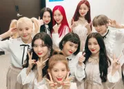 Quiz Momoland