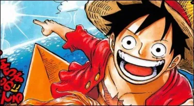 Comment s'appelle le héros de One Piece ?