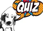 Quiz Un quizz qui a du chien !