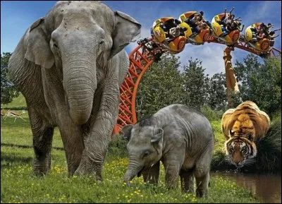 Quel parc de France contient un parc animalier et un parc de loisirs ?