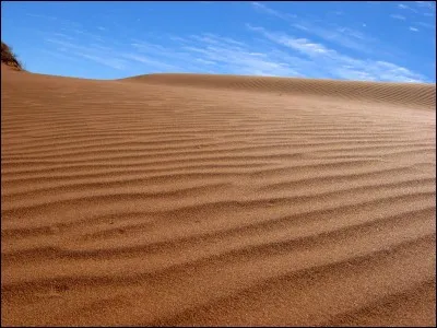 Vous vous échouez sur une île déserte, et la première chose que vous voyez, c'est le sable.
En parlant de celui-ci, de quoi est-il principalement composé ?