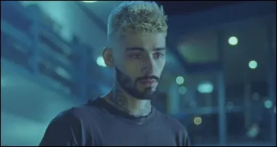 Connais tu Zayn ? 
Où et quand est il né, quelles sont ses origines, quelle taille fait-il, et de quoi a-t-il peur ?