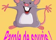 Quiz Parole de souris