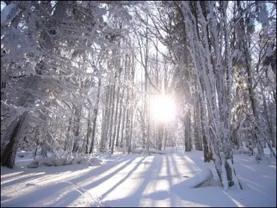 Quelle est la destination de tes rêves pour les vacances de Noël ?