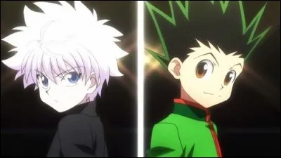 Qui est le héros principal de « Hunter x Hunter » ?