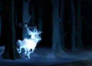 Quiz Les patronus dans ''Harry Potter''