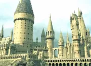 Test De quel personnage serais-tu proche dans ''Harry Potter'' ?