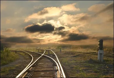 Tu es le chauffeur d'un train et tu en as perdu le contrôle ! Il est sur le point de percuter 5 passants qui n'ont pas conscience de ce qui se passe. Ils seront tués à coup sûr, sauf si tu changes de direction. Mais dans ce cas le train roulera sur un homme totalement innocent qui dort sur les rails.
Serais-tu capable de changer de direction et rouler sur la personne endormie pour sauver les 5 ?