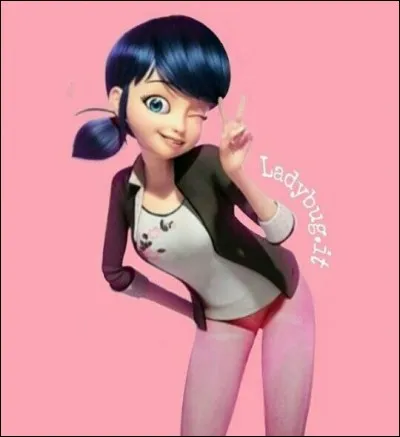 Quelle est la passion de Marinette ?