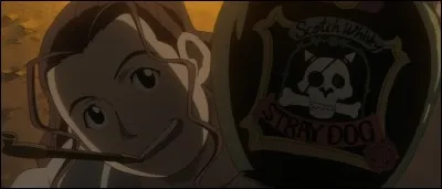 Qui est cette personne dans le rêve de Van Hohenheim ?