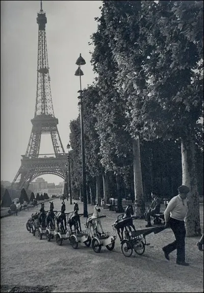 Cette magnifique photographie est une réalisation de Robert Doisneau.