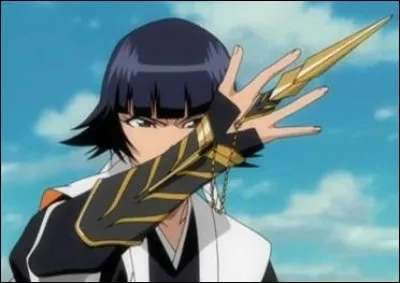 Qu'est le shikai de Soi Fon ?