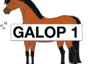 Quiz Galop 1