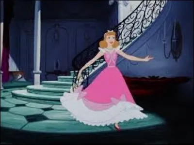 Les meilleurs amis de Cendrillon sont des lapins.