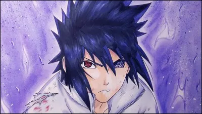 Quel est le nom de famille de Sasuke ?