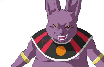 Comment s'appelle le frère de Beerus ?