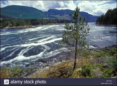 Que se passe-t-il deux fois par jour à Skookumchuck Narrows au Canada ?