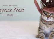 Quiz Joyeux Nol les chats !