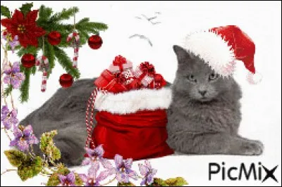 Parmi ces images du Chat-Noël, laquelle est l'intruse ?