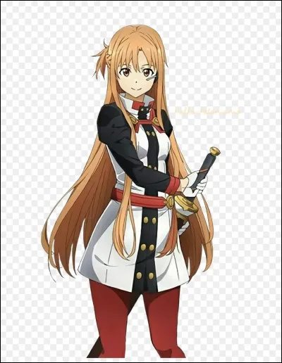 Qui est Asuna du manga "Sword Art Online" ?