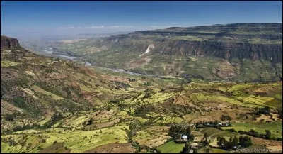 Sur quel continent est située la vallée du grand rift ?