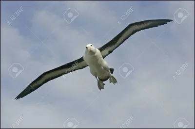 ''Ce soir je vais partir visiter les nuages,
Je n'y suis pas encore mais ça va pas tarder''

Quelle est la condition pour que Bernard visite les cieux dans le poème ''Je vais m'envoler'' ?