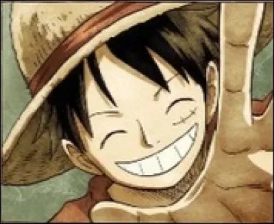 Les primes que Luffy a eues sont :