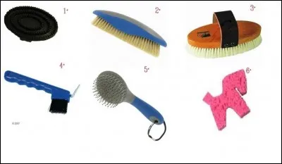 Comment s'appelle la brosse numéro 2 ?