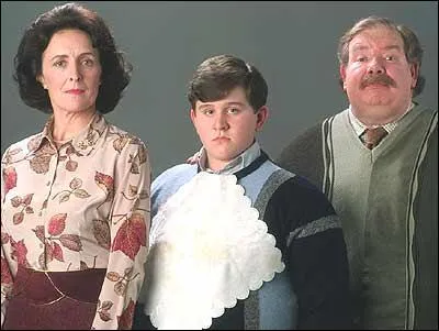 O habitent les Dursley ?