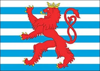 Ce drapeau sur l'image est celui du Luxembourg.