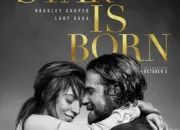 Quiz A Star is Born