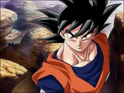 Quel est le vrai nom de Sangoku ?