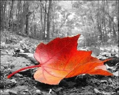 Qui chantait "Quand revient le vent de l'automne, je pense à tout ce temps perdu, je n'ai fait de mal à personne, je n'ai pas fait de bien non plus" ?