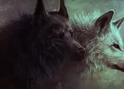 Test Quel loup du clan de la Lune es-tu ?