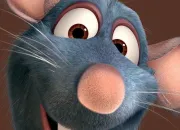 Quiz Ratatouille