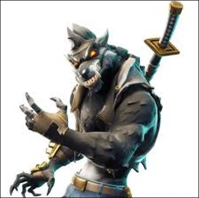 Quel est ce skin ?