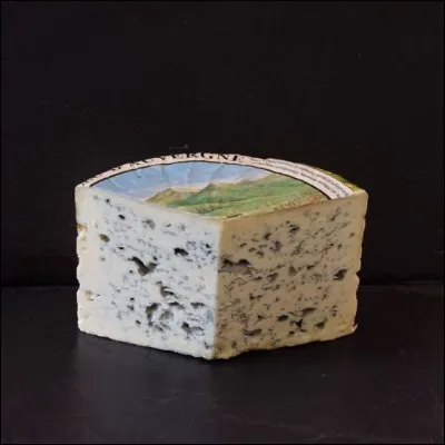 Dans ces régions nous trouvons de nombreux fromages. Laquelle de ces propositions n'est pas une pâte persillée ?