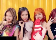 Quiz Black Pink